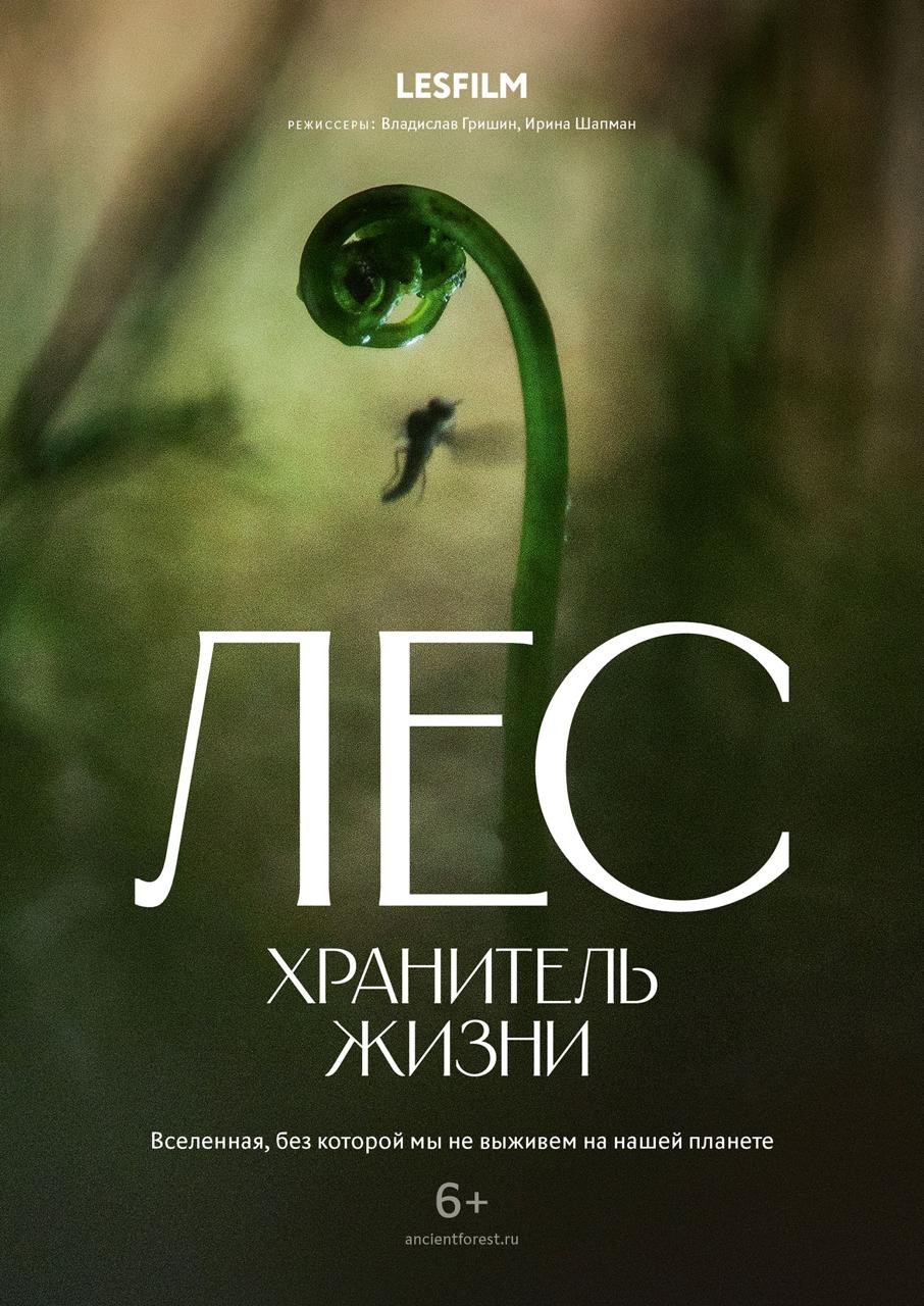 Афиша фильма «Лес. Хранитель жизни»