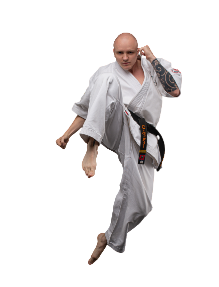 школа карате(с кнопкой получить консультацию)