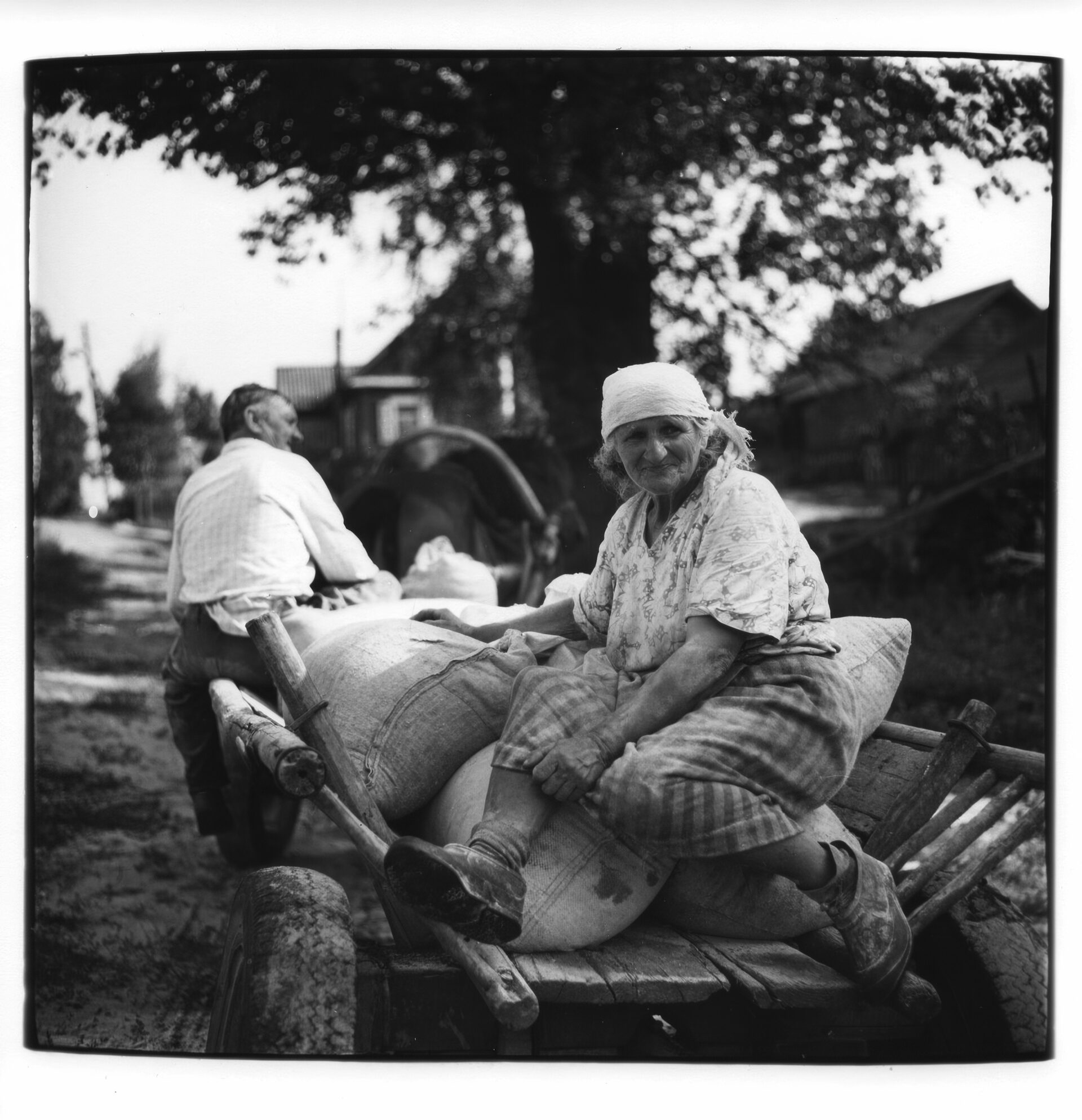 Альберт Цеханович: Кола часу.