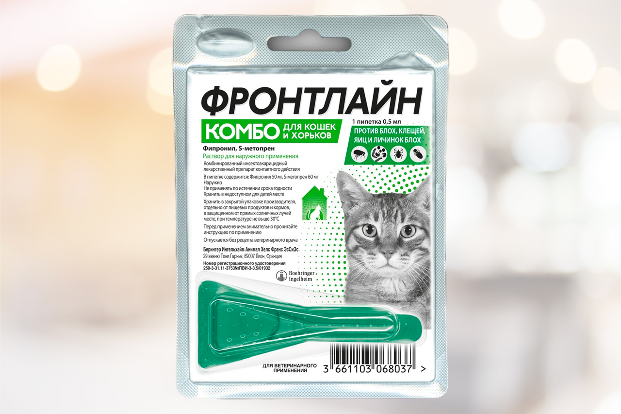 Как избавиться от половых и ковровых блох: методы и средства