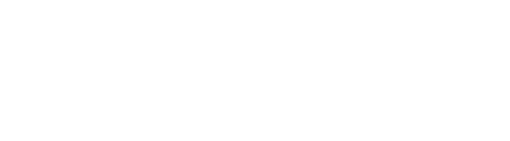 NARCISS