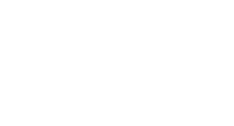 Bazis Motors