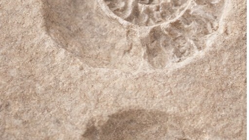 mold and cast fossil imprint and mineral filled ammonite shape in stone