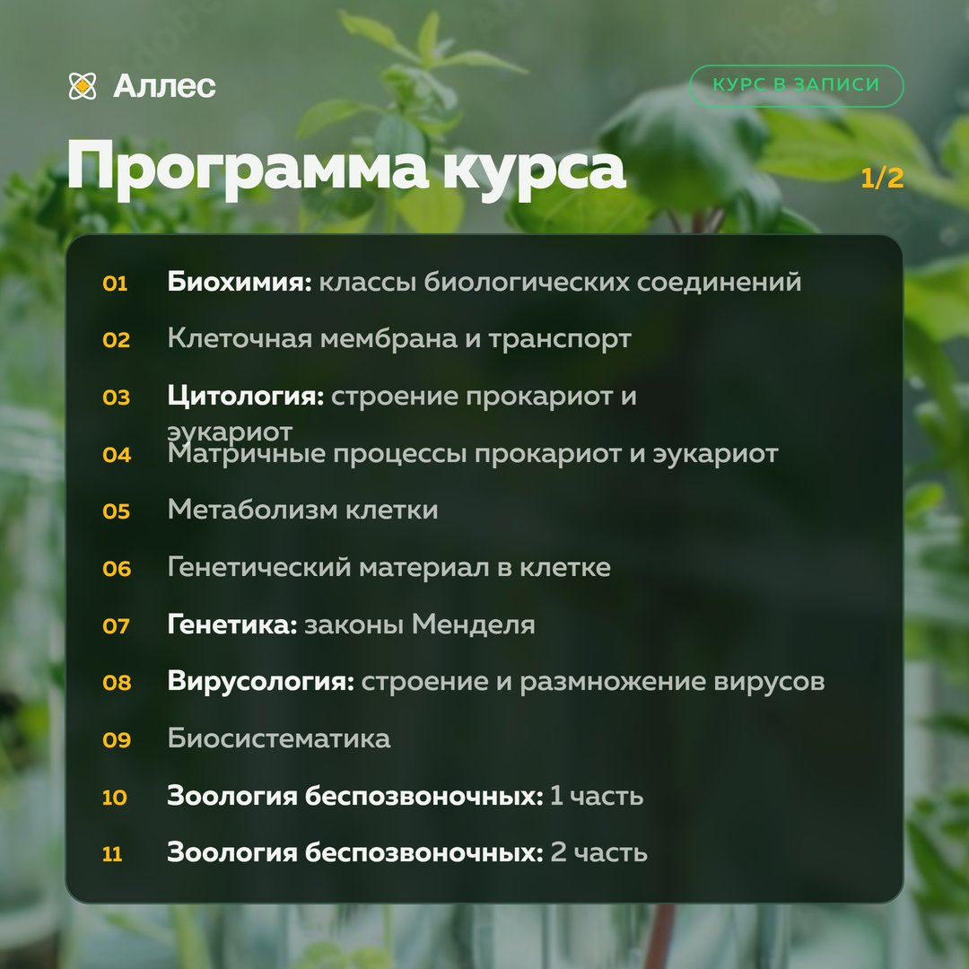 Программа курса «Экспрессия», часть 1