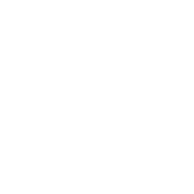 ВИНИТИ РАН