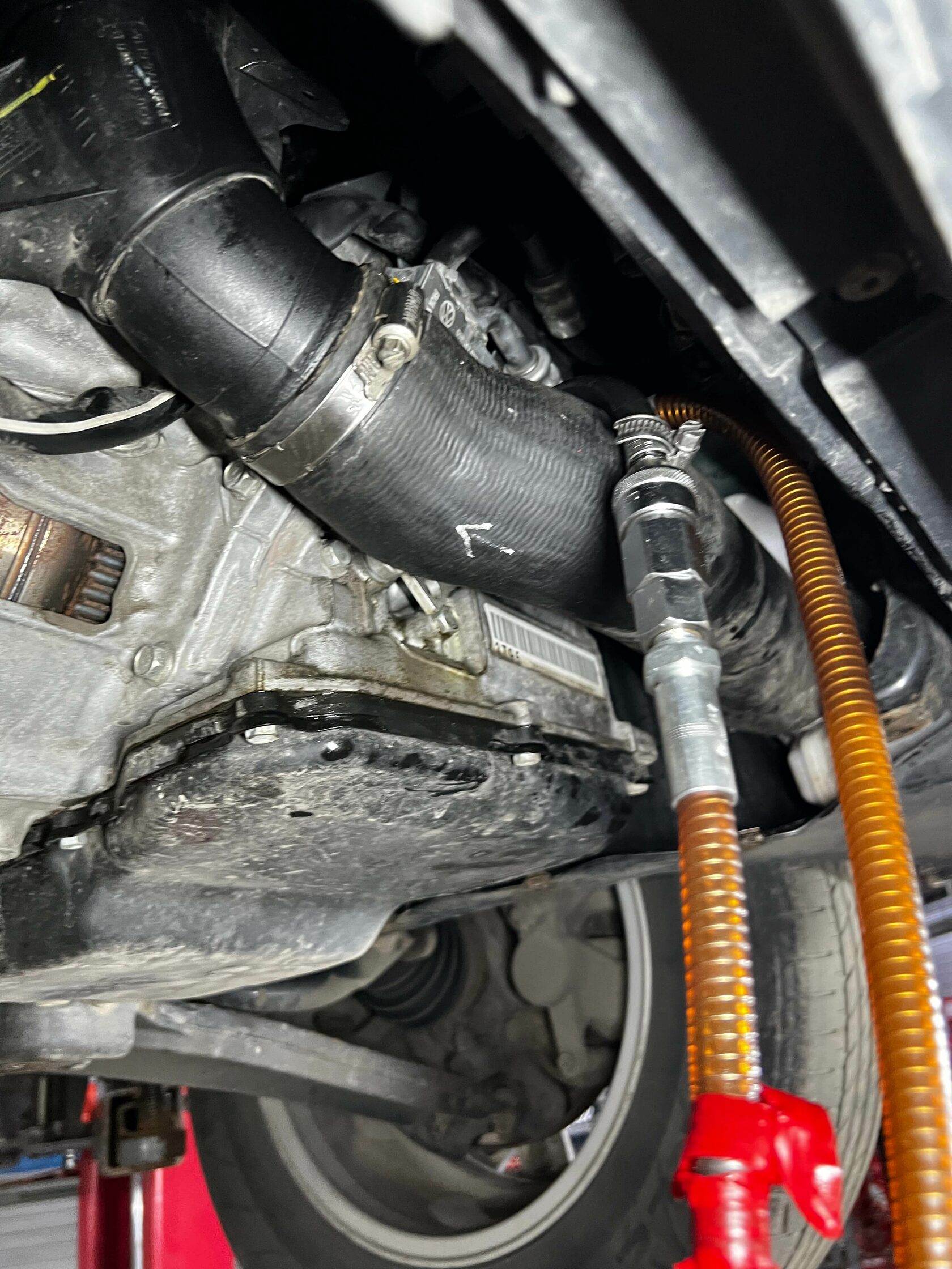 Подключение Motul Evo к Teramont