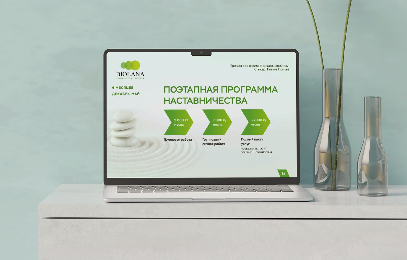 Дизайн презентации Biolana: демонстрация поэтапной программы наставничества на экране ноутбука с акцентом на зелёную цветовую палитру 