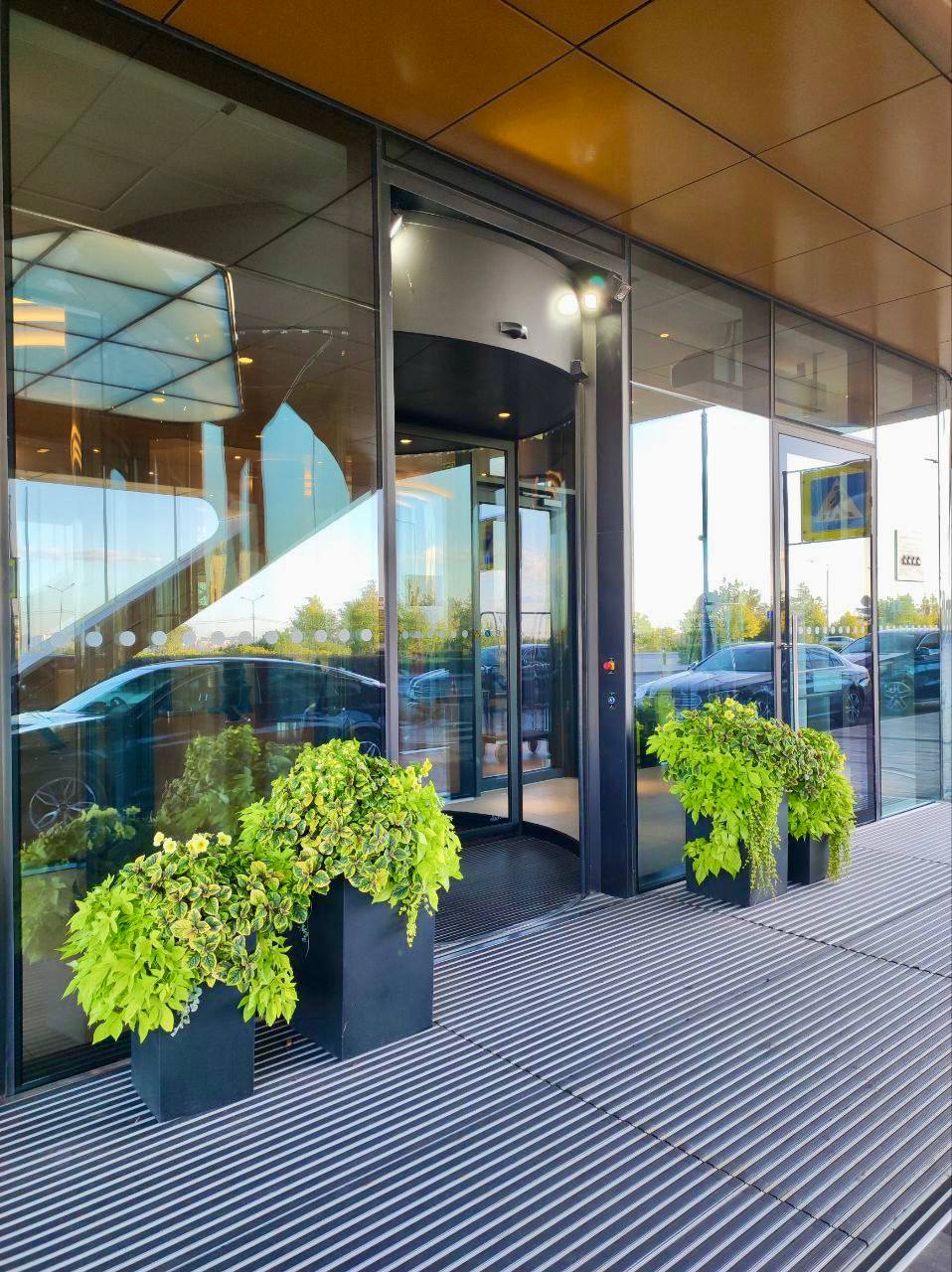 Озеленение входной группы