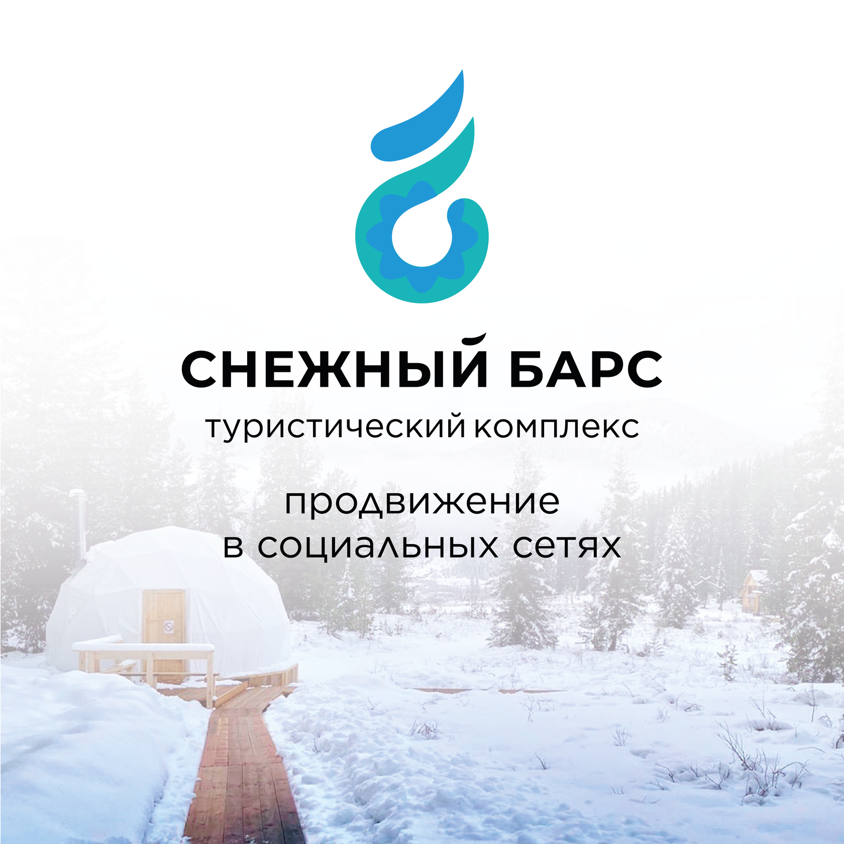 кейс снежный барс