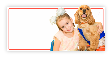 Проведение шоу-программ