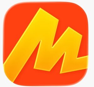 website icon