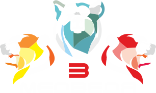 Услуги