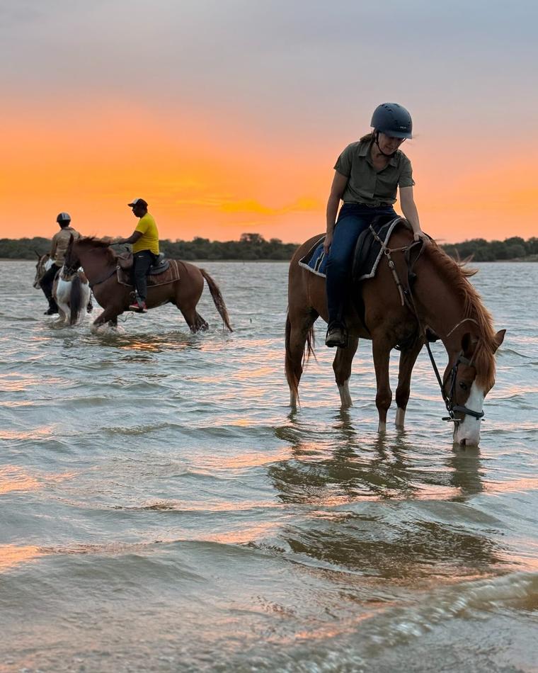 Three riders with their horses in the Punanai tank at sunset with a chestnut horse drinking in the foreground while two other horses move through the water behind it.