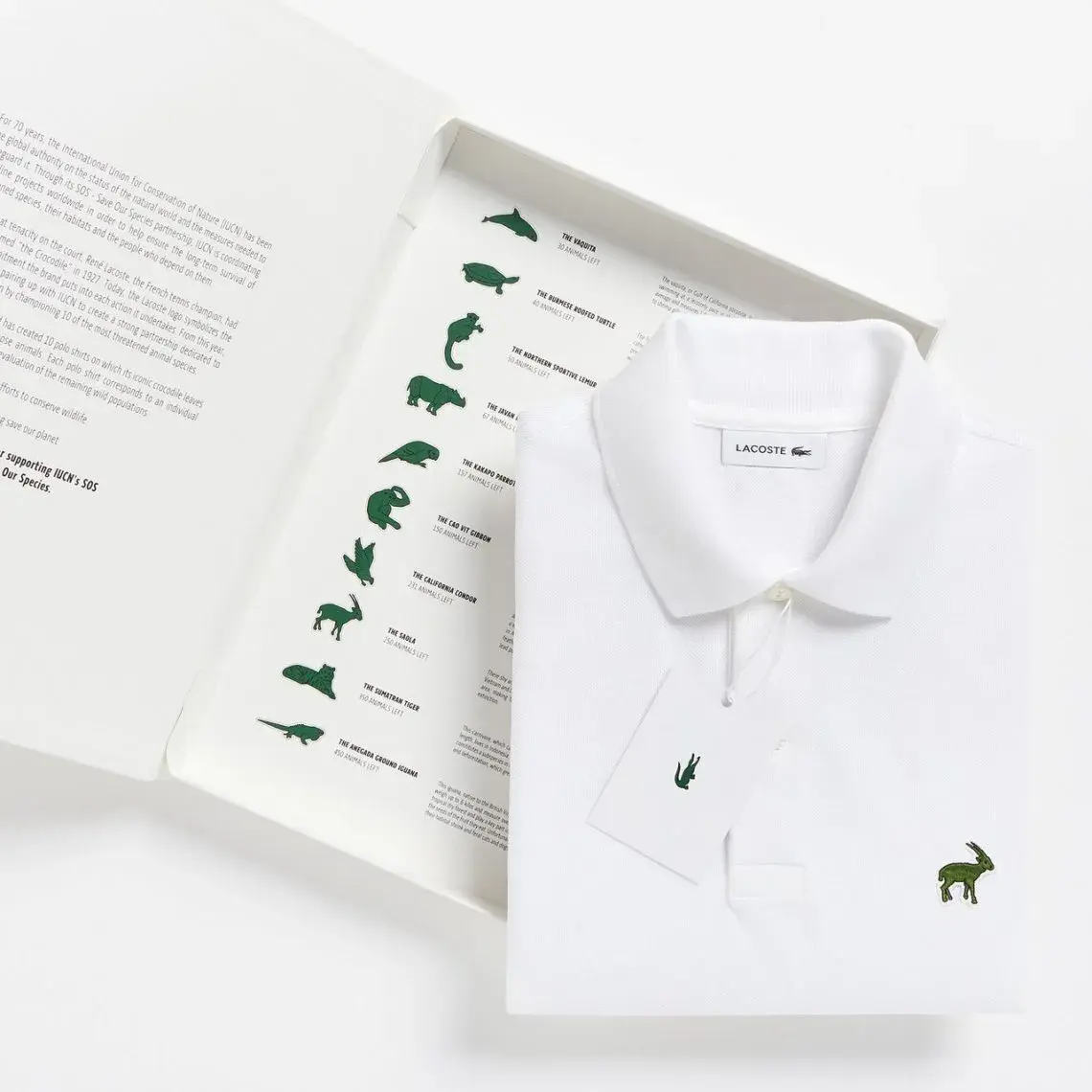 Пример редизайна бренда под требования 2026 года с обновлённым фирстилем.