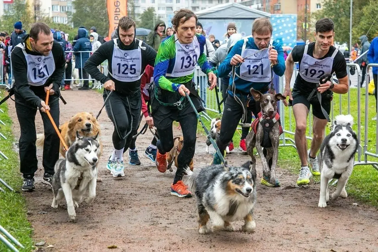 «Быстрые Лапки»: Традиционные благотворительные забеги