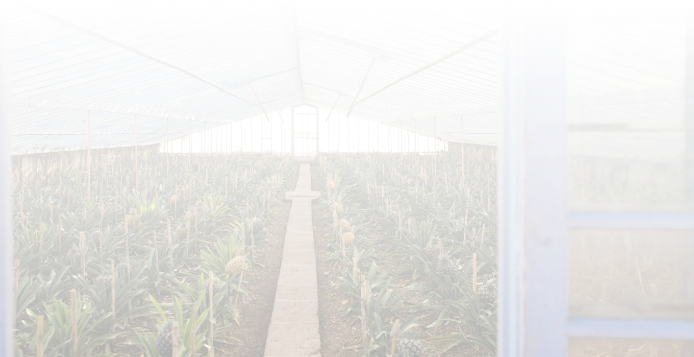 Монтаж капельного орошения - Услуги - PolivAsia