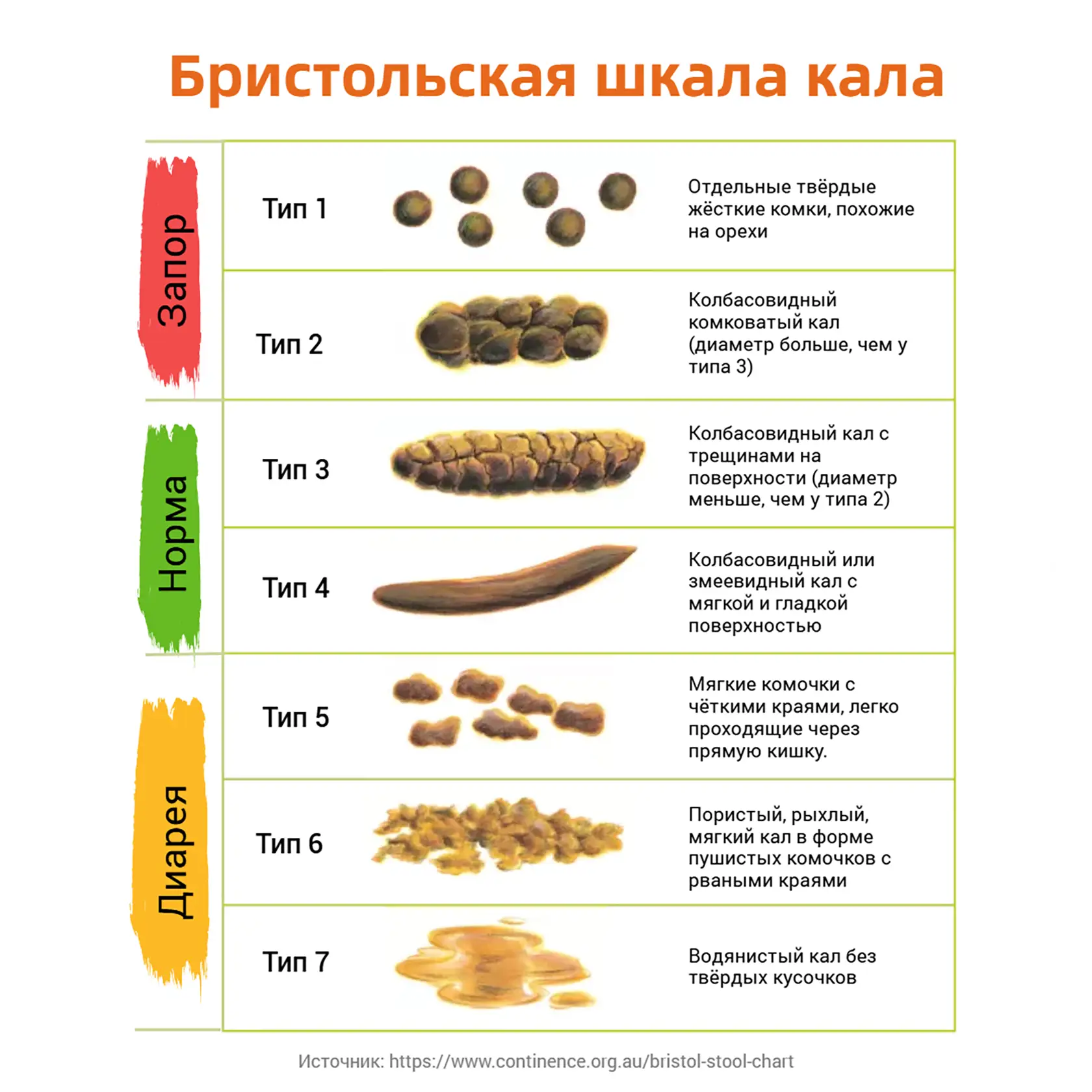 Норма кала таблица