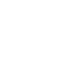 Портретная экспертиза