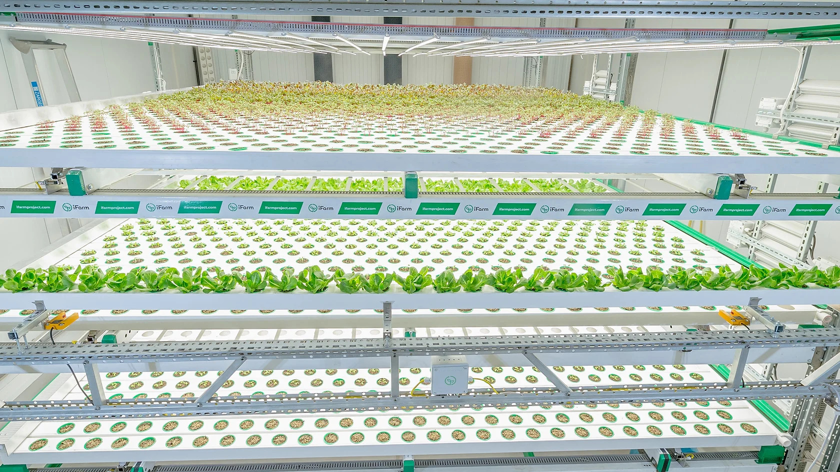 What Are Vertical Farming