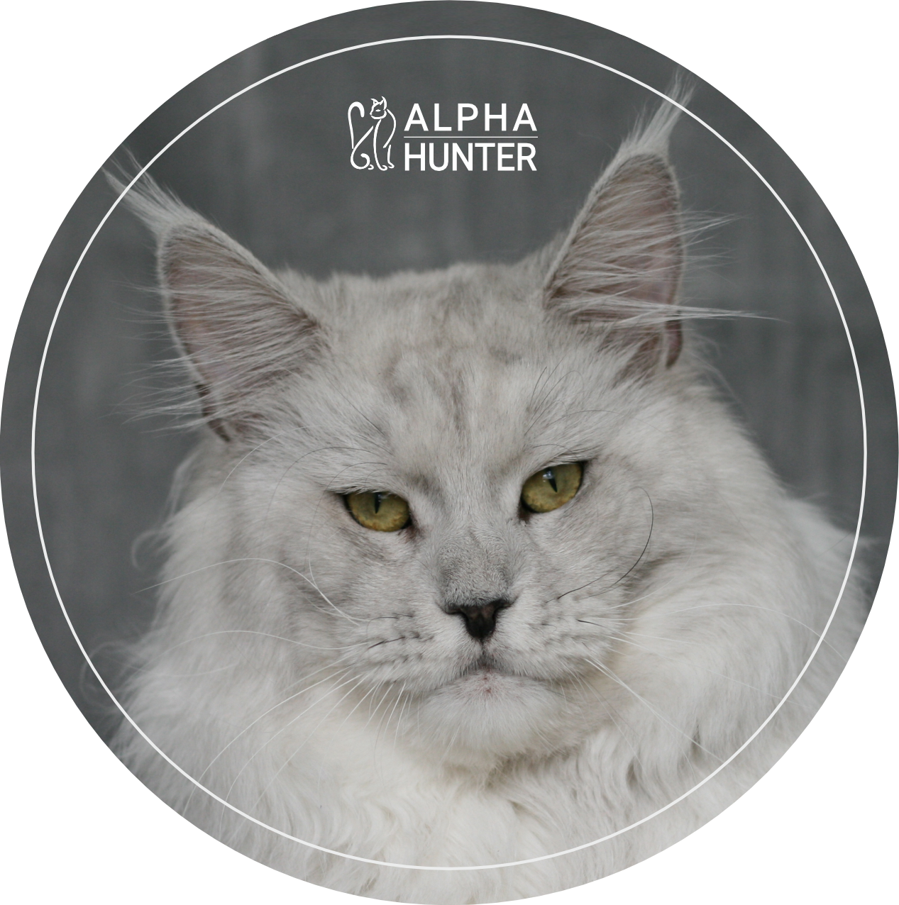 A-Diamond Alpha Hunter
