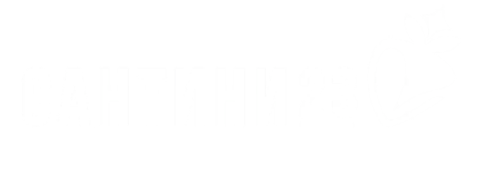 Интернет-магазин - «САНТИНИ-23»