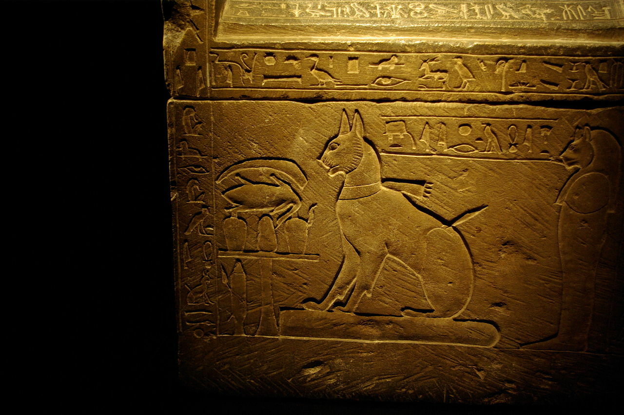 Саркофаг кошки принца Тутмоса Та-миу (XVIII династия). Каирский музей