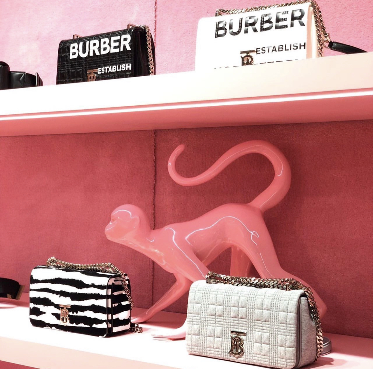 закупка тканей во франции