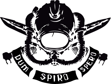  ОТКРЫТОЕ НЕБО 