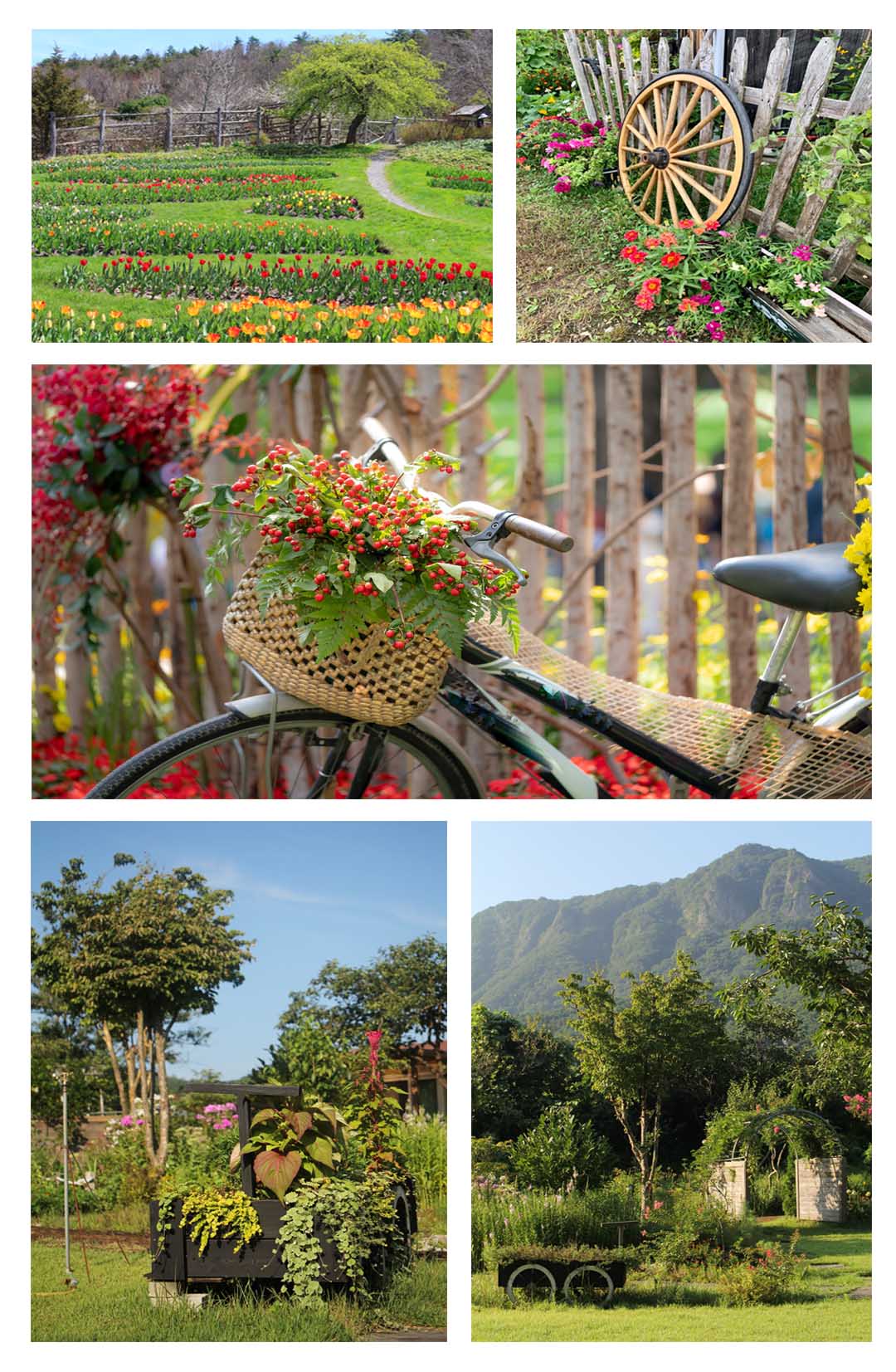 Ландшафтный дизайн — фото