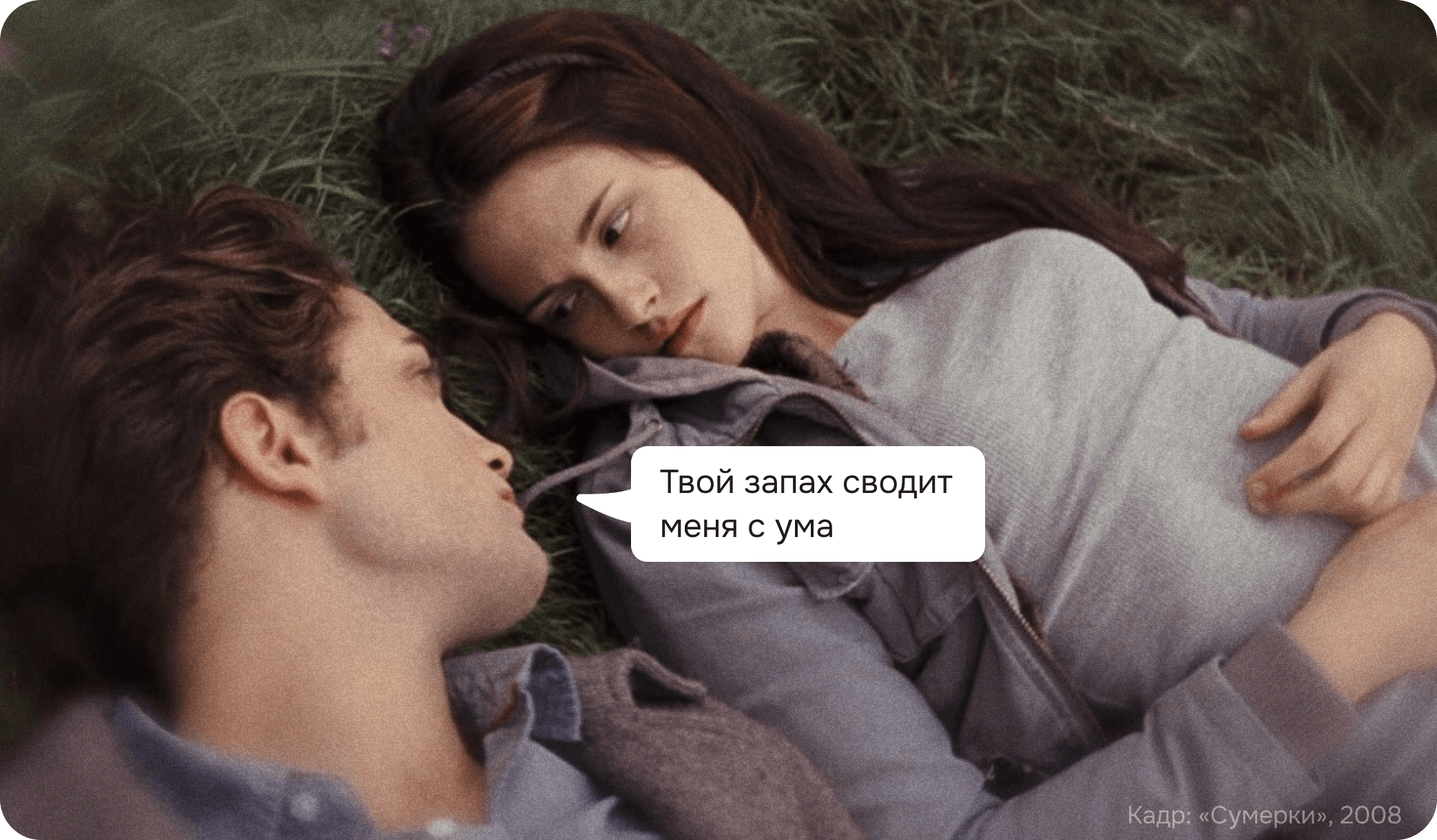 эдвард и белла, сумерки