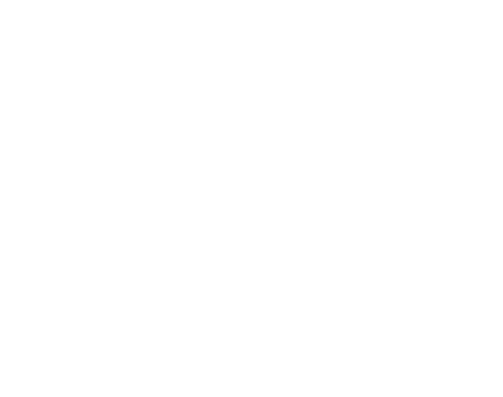 NEFRENDZONA