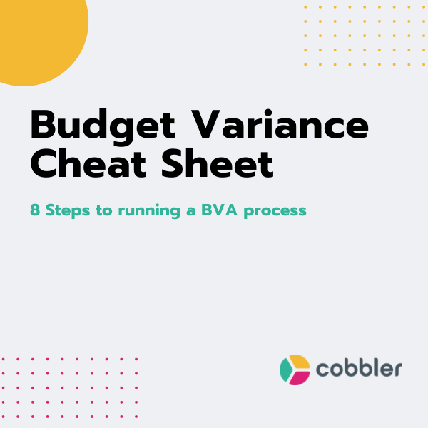 cobbler-budget-variance-analysis-commentary