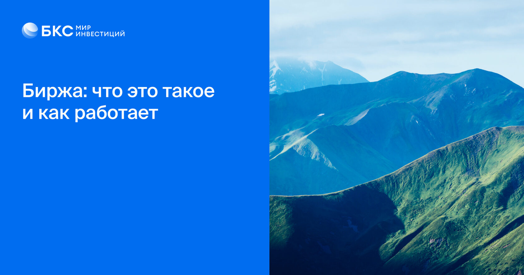 Что такое биржа и как она работает, как на ней заработать, что нужно знать  о торговле на бирже начинающему инвестору