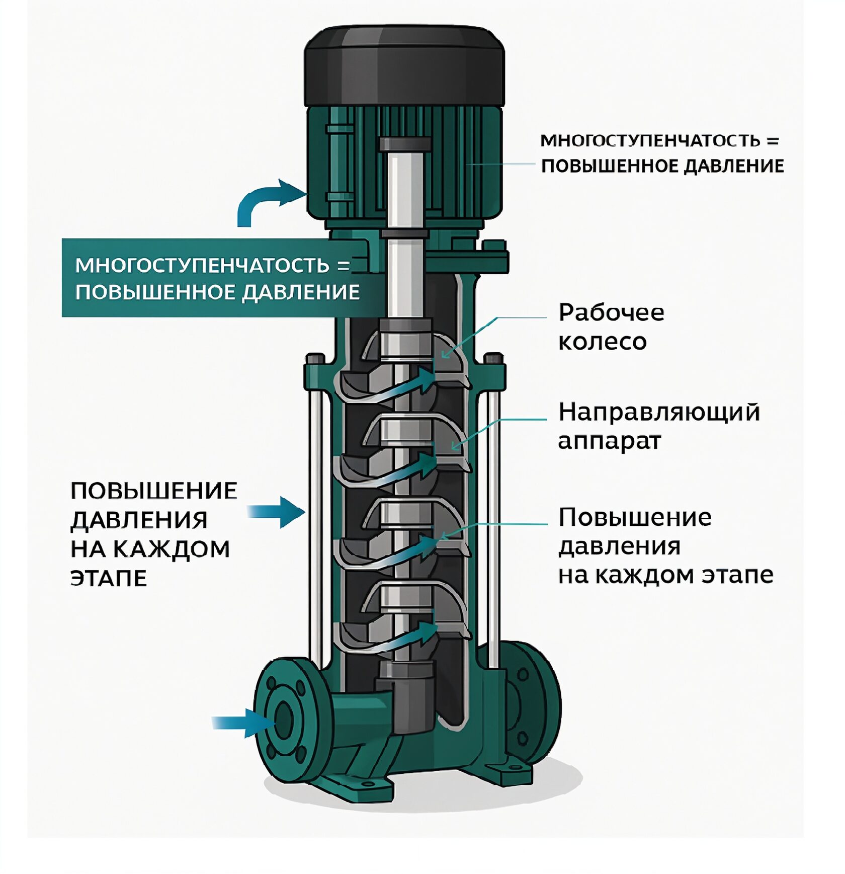 вертикальной многоступенчатый насос, ЦНС