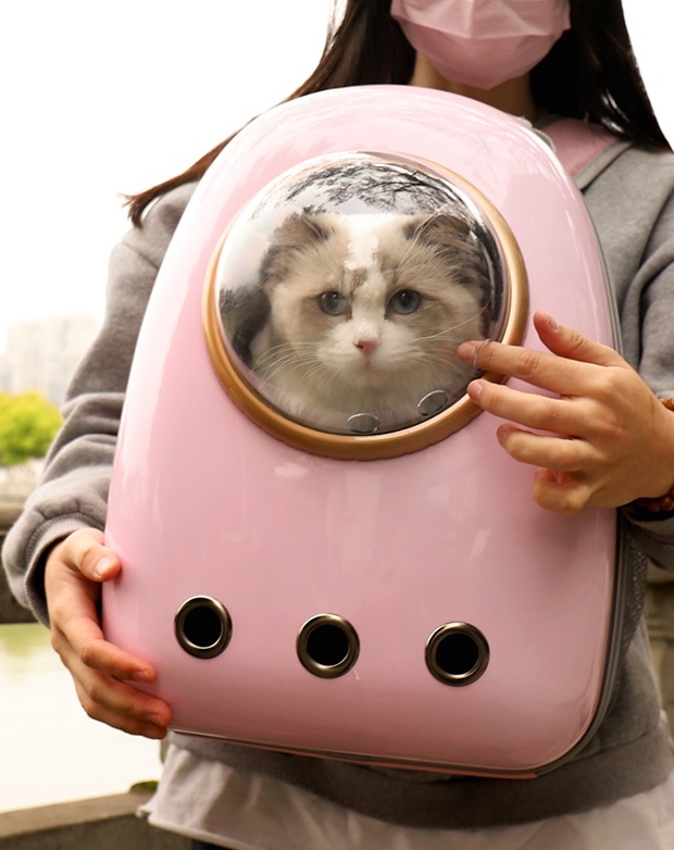 cosmopet kosmicheskie ryukzaki i sumki