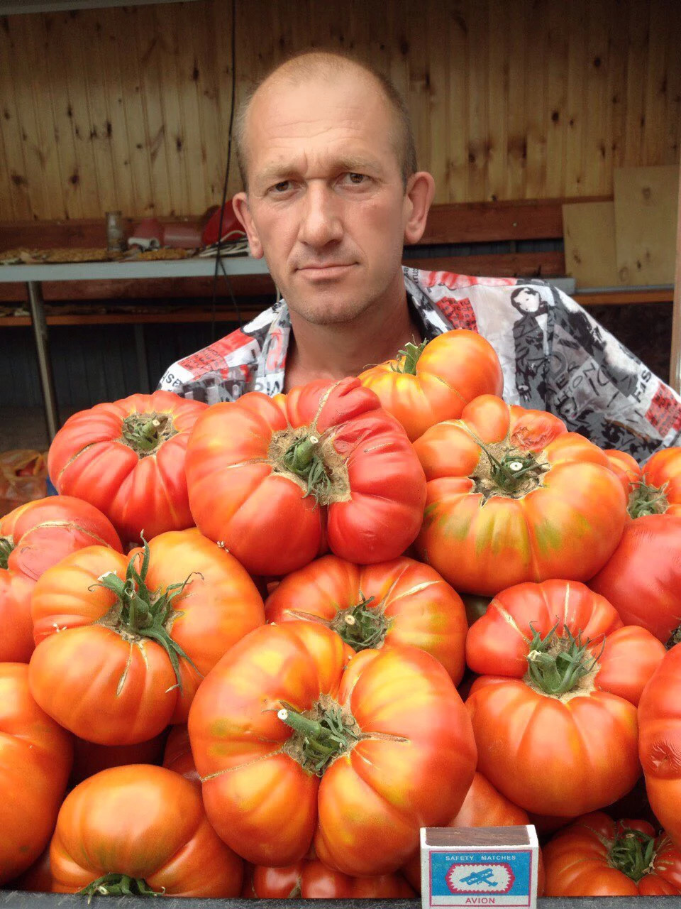 Семена томаты юсуповские семена фасоли различия