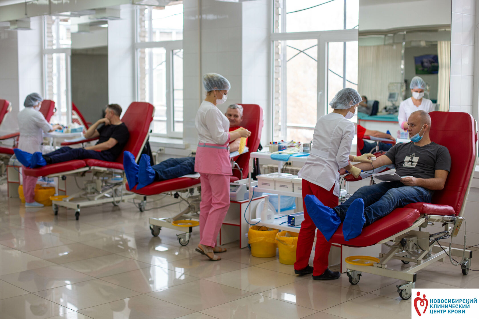 Донорство крови новосибирск