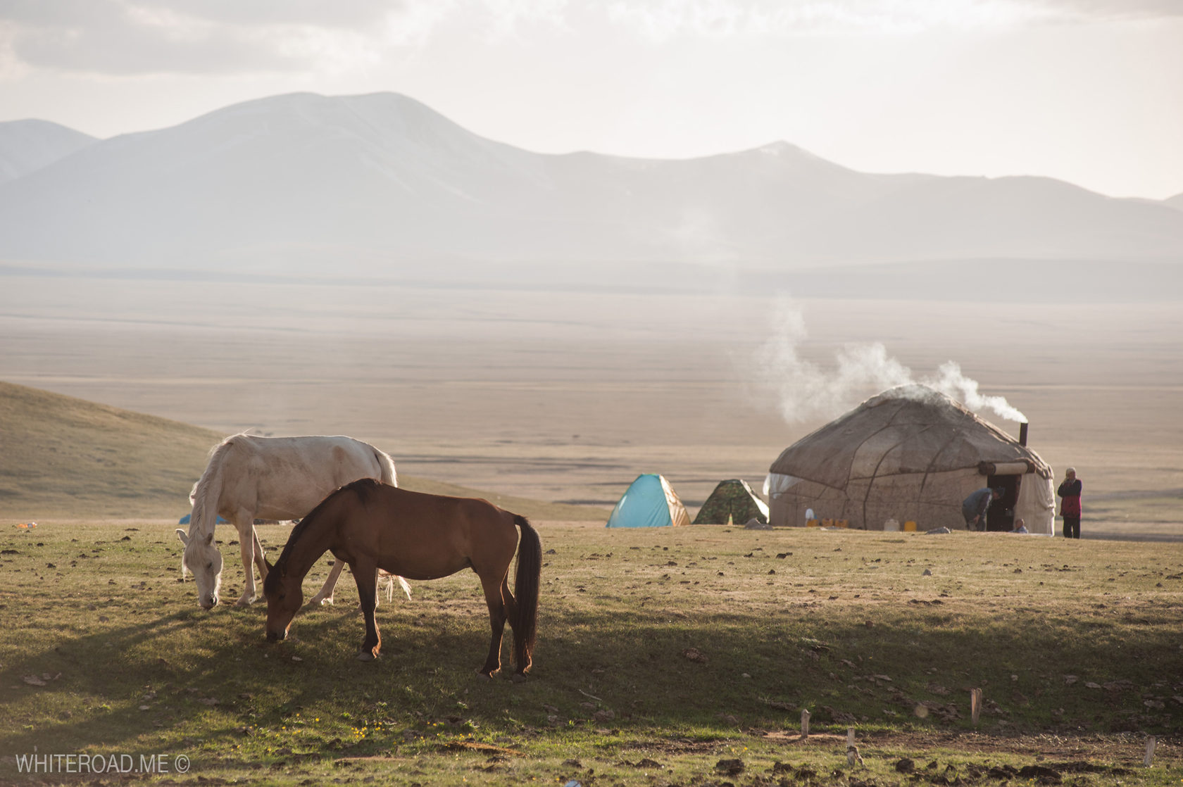 Кыргызстан природа юрта лошадь