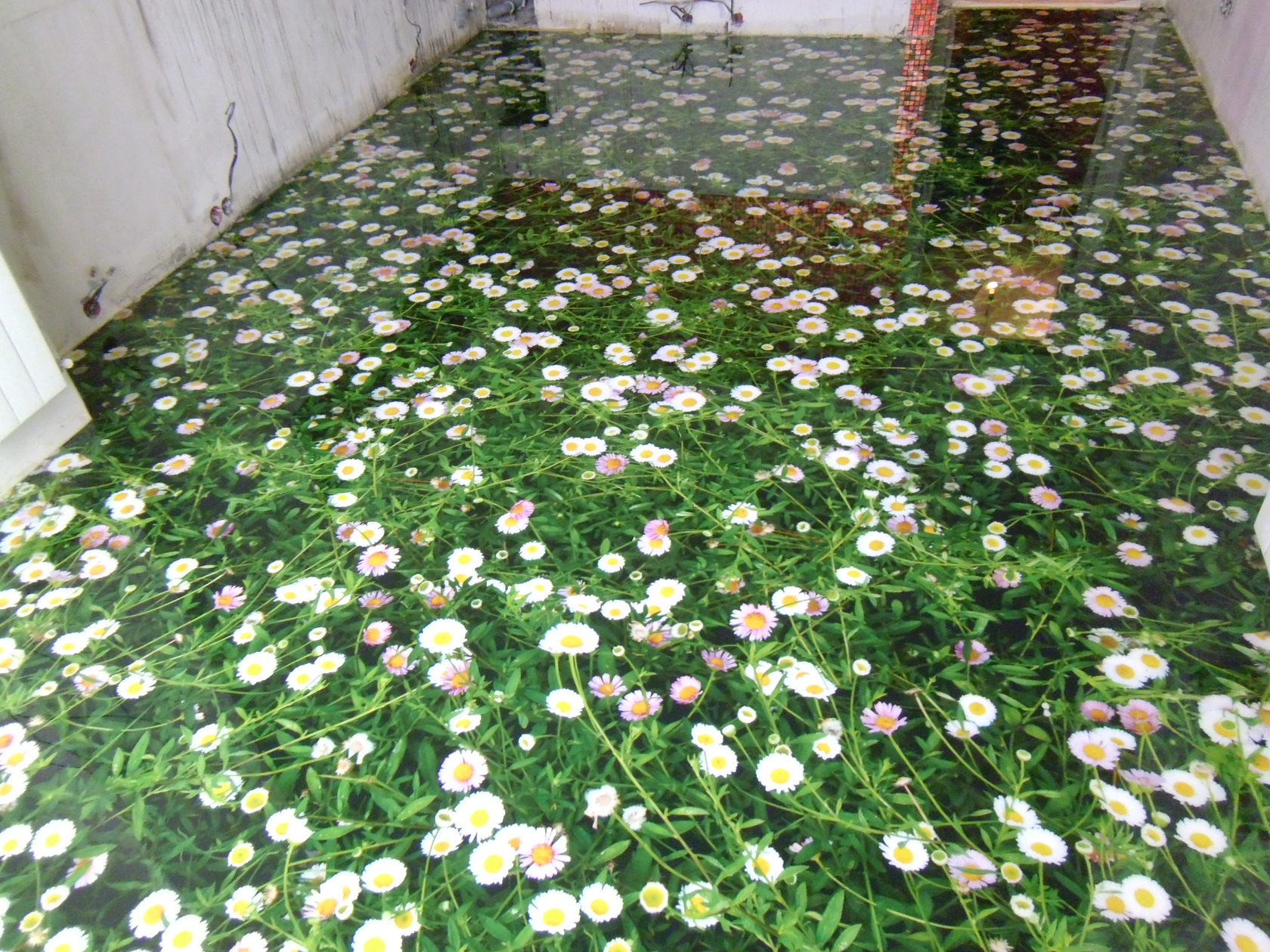 наливной трехмерный пол