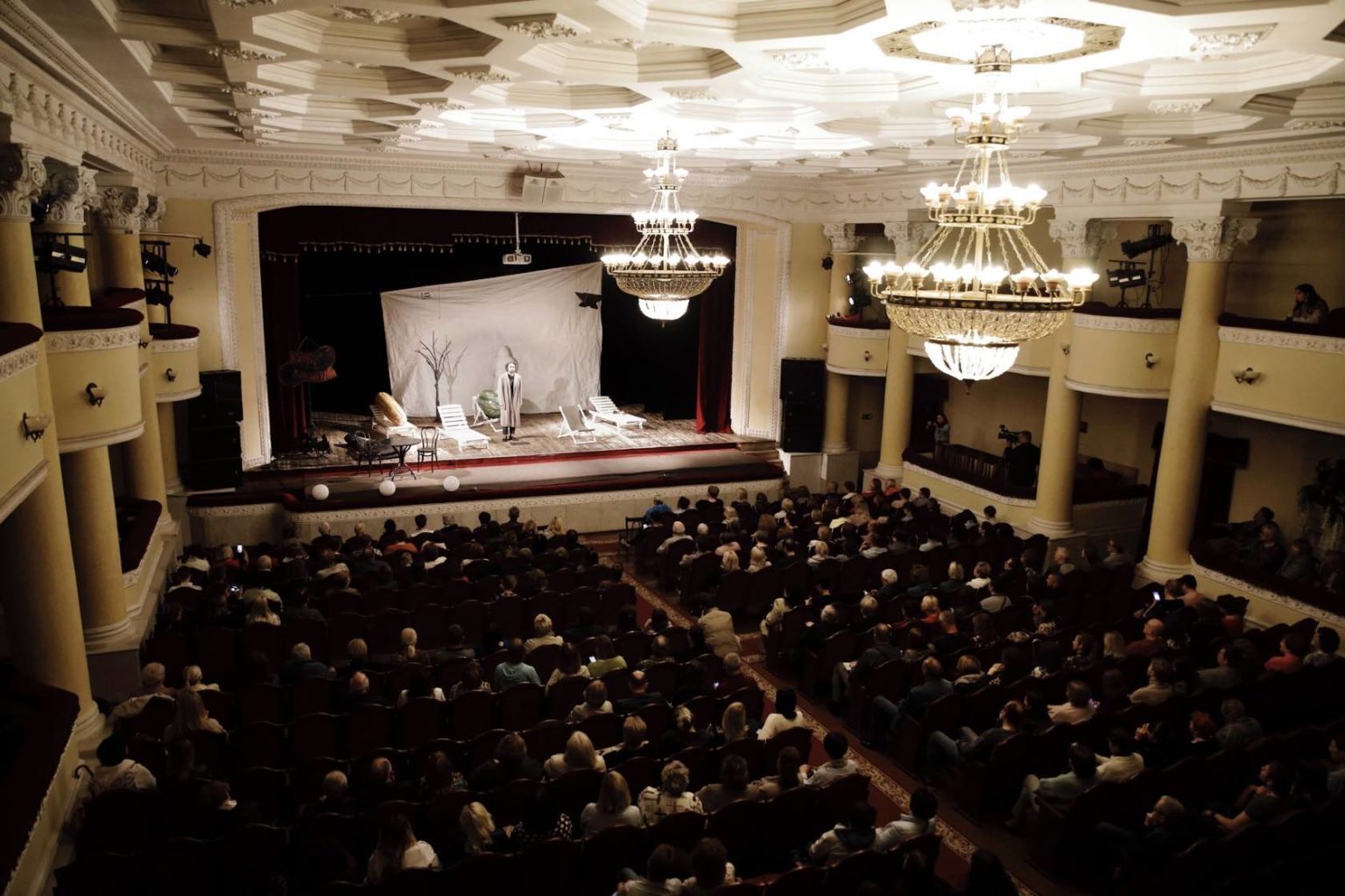 Собака с дамочкой в Серпухове 00013