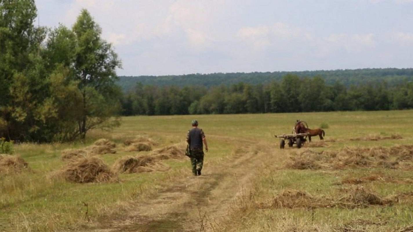 Далекий примеры. Дальний план. Дальний план в кино. Кадры из фильмов Дальний план. Дальний план документальный фильм.