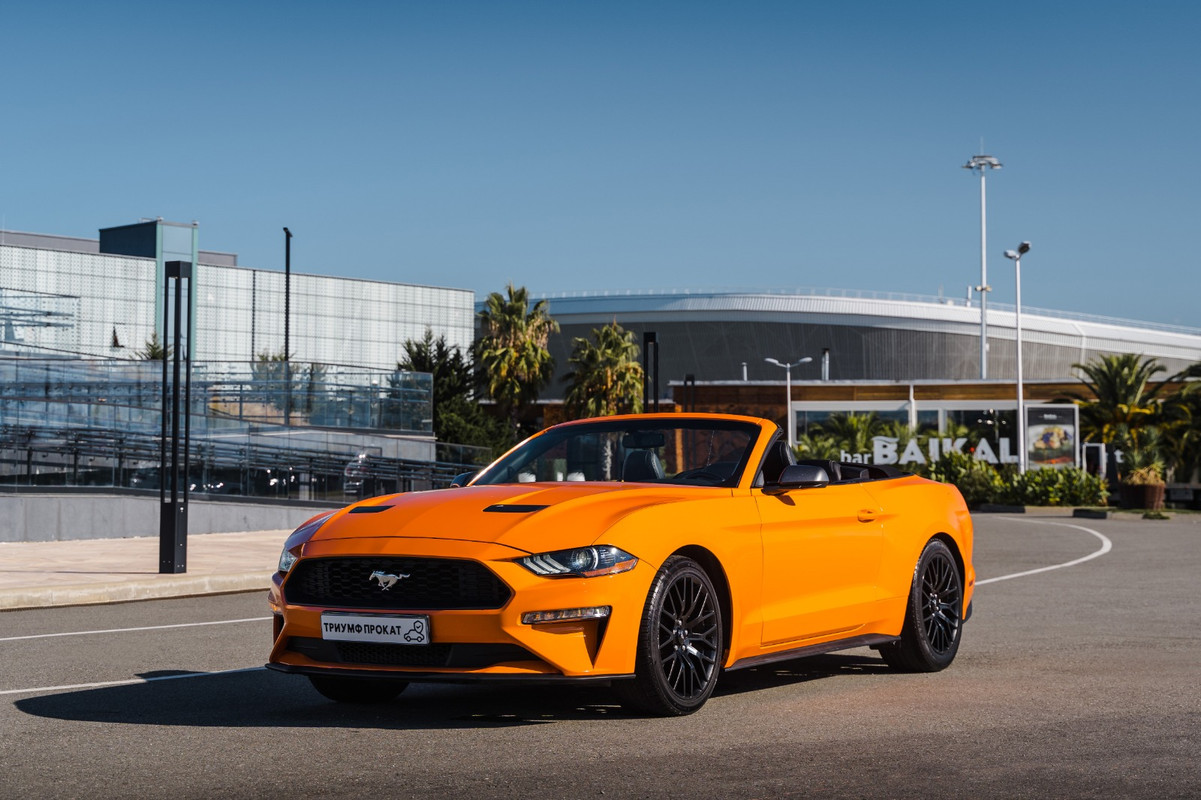 Mustang в Сочи