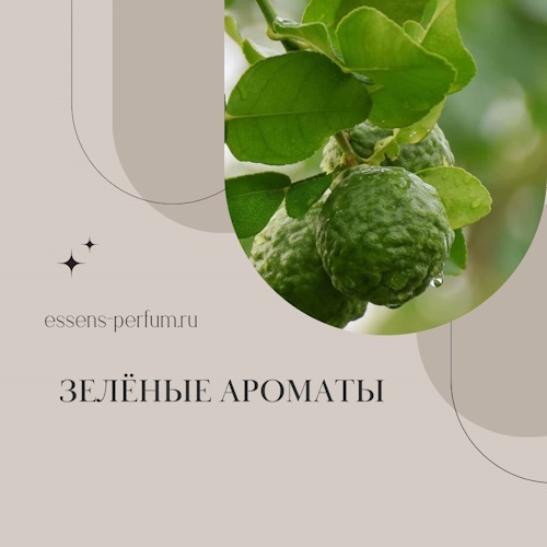 зеленые ароматы эссенс