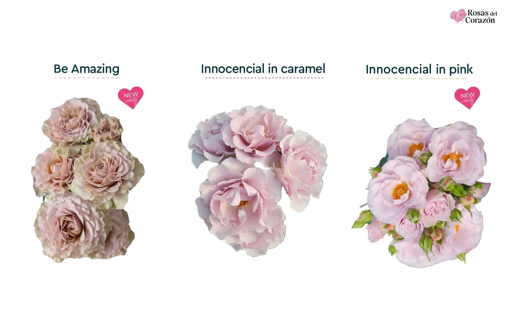 Be Amazing, Innocencial in caramel, Innocencial in pink
