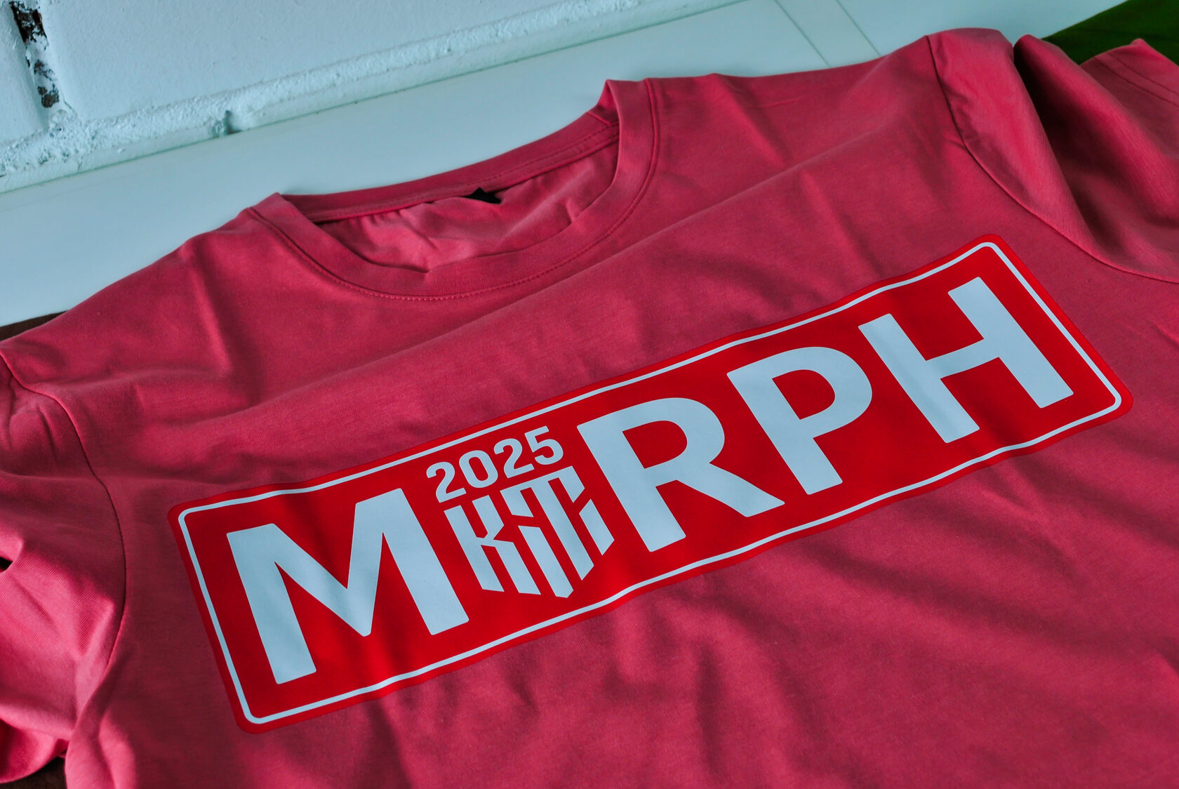 Печать на футболках и худи для бизнеса — пример работы, фото 2