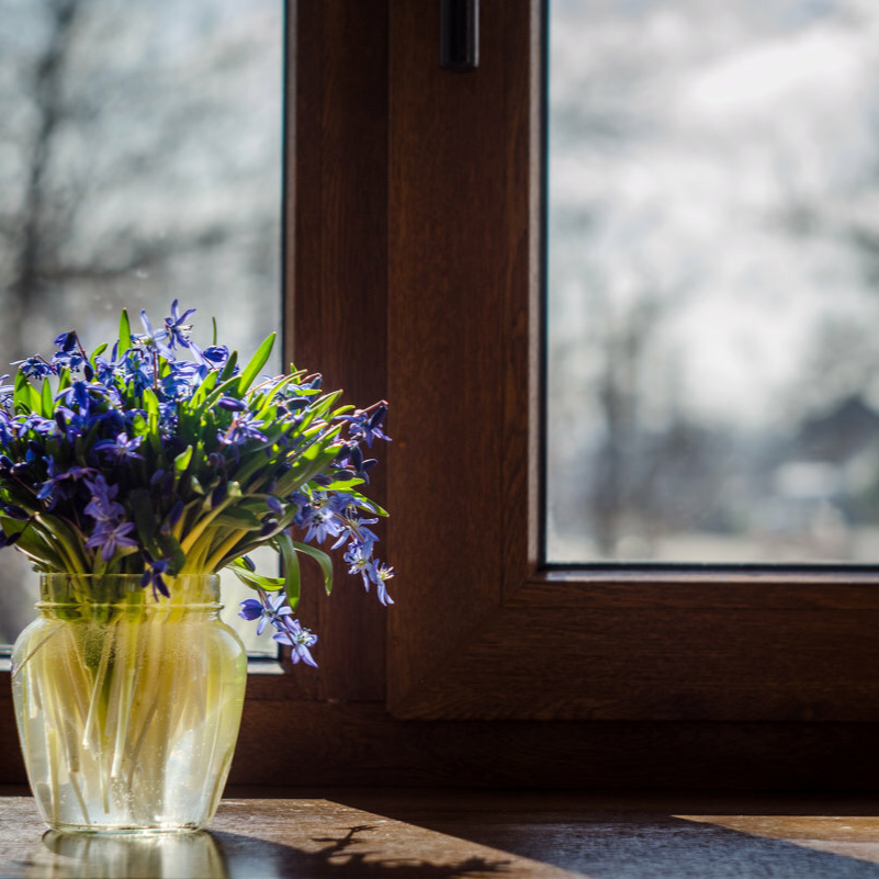 голубь мира. картины юлии белоусовой. художник юлия белоусова. мирного еботнад головой. солнце в окне.