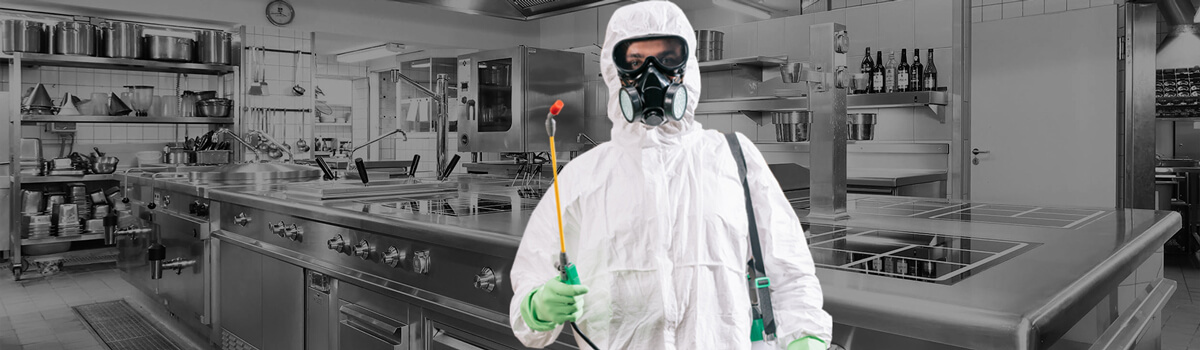 Дезинсекция от тараканов СЭС Казани 