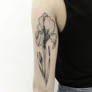 Акварельные переводные тату Miami Tattoos Iris