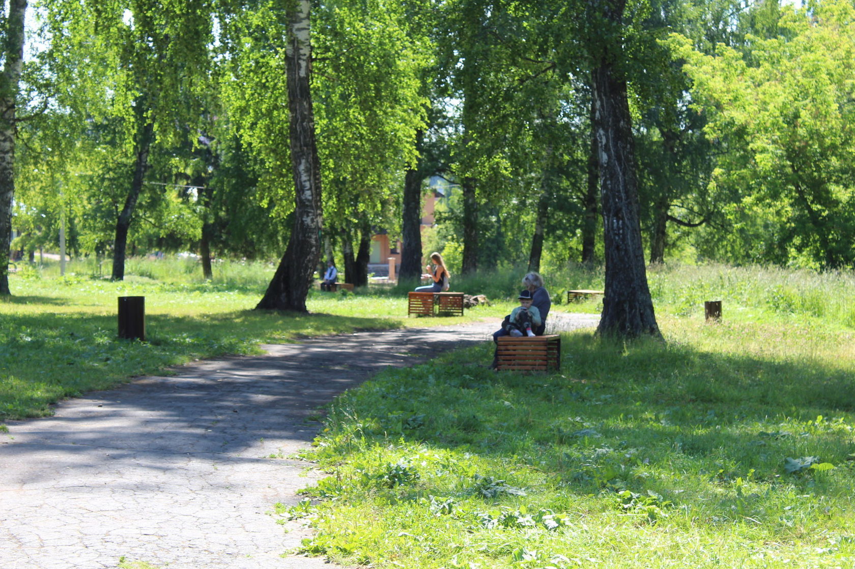 Березовая роща в Ижевске