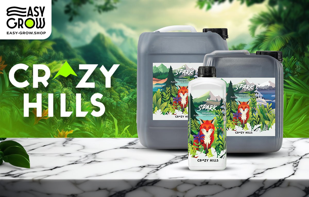Crazy Hills SPARK